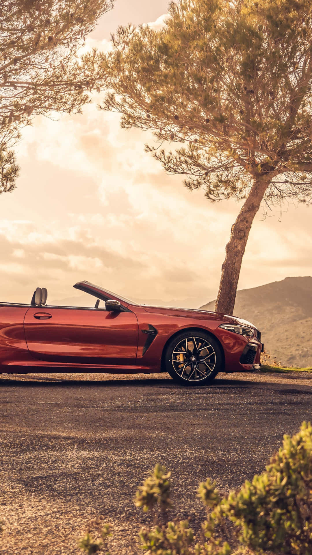 Luxury and Style Conquer the Road: The BMW M8 Wallpaper