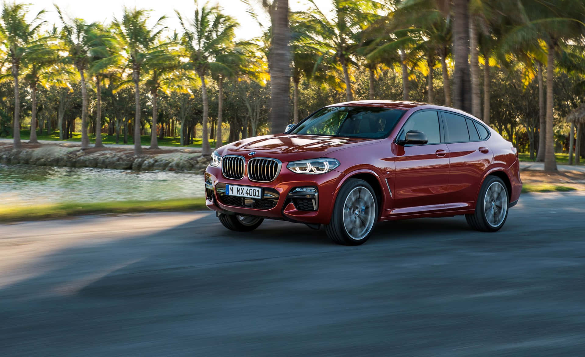 BMW X4 Gliding on an Open Road Wallpaper