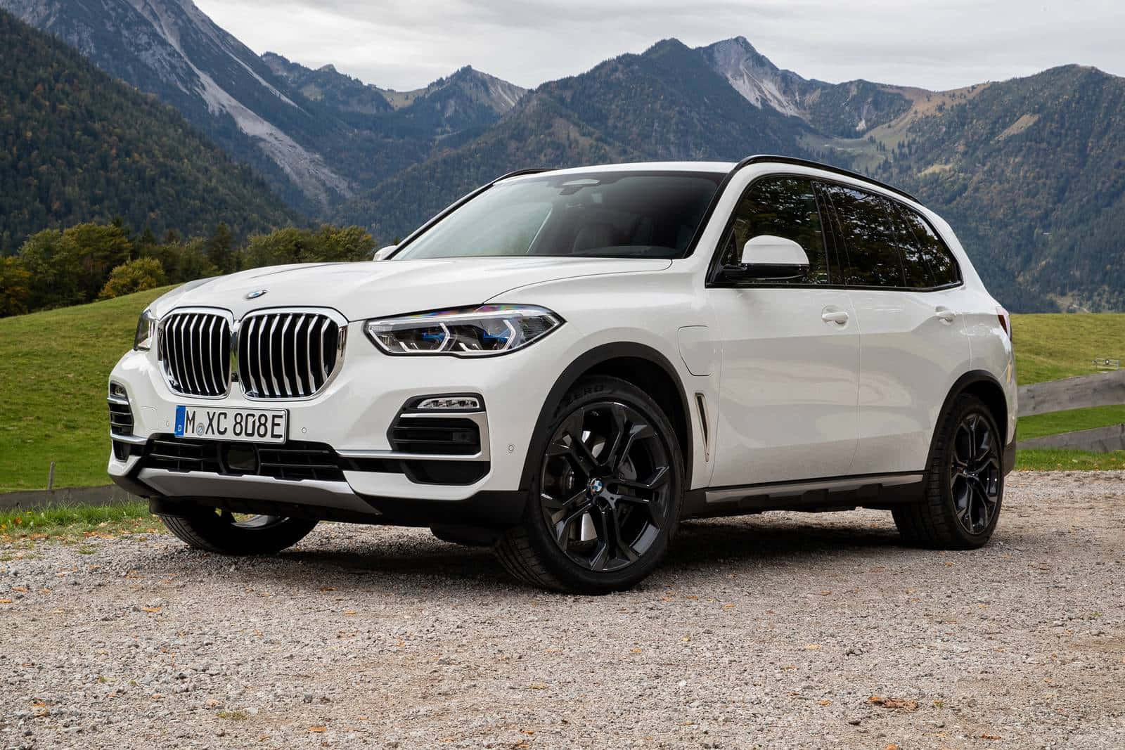 Captivating BMW X5 in Action Wallpaper