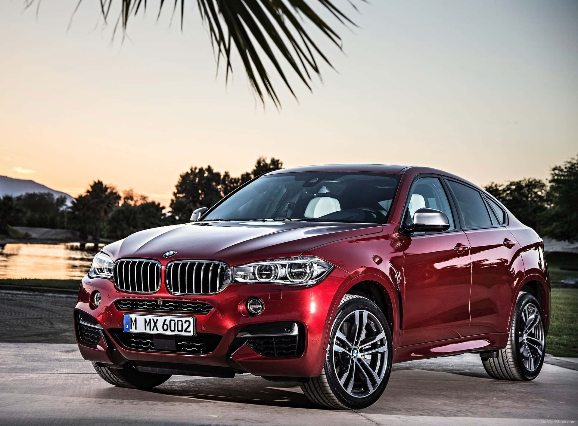 Stunning BMW X6 - A Perfect Blend of Luxury and Performance Wallpaper