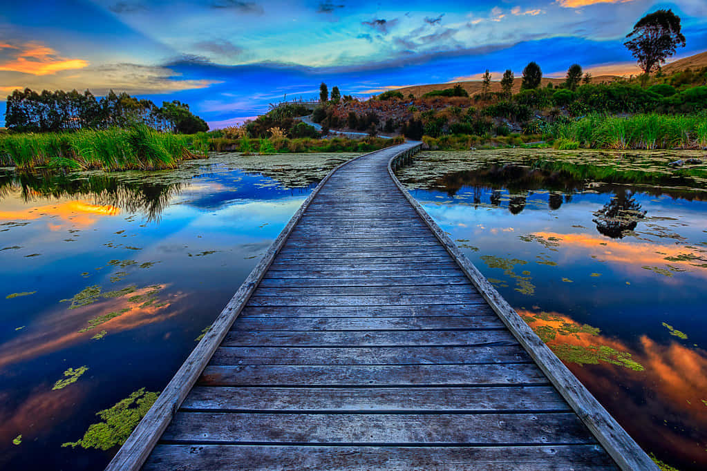 Boardwalkat Sunset Hastings New Zealand Wallpaper