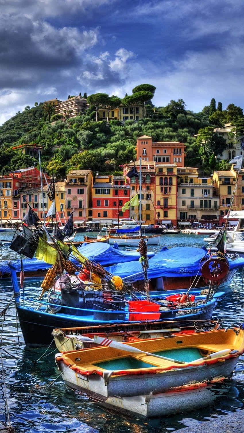 Boats On The Portofino Coast Picture