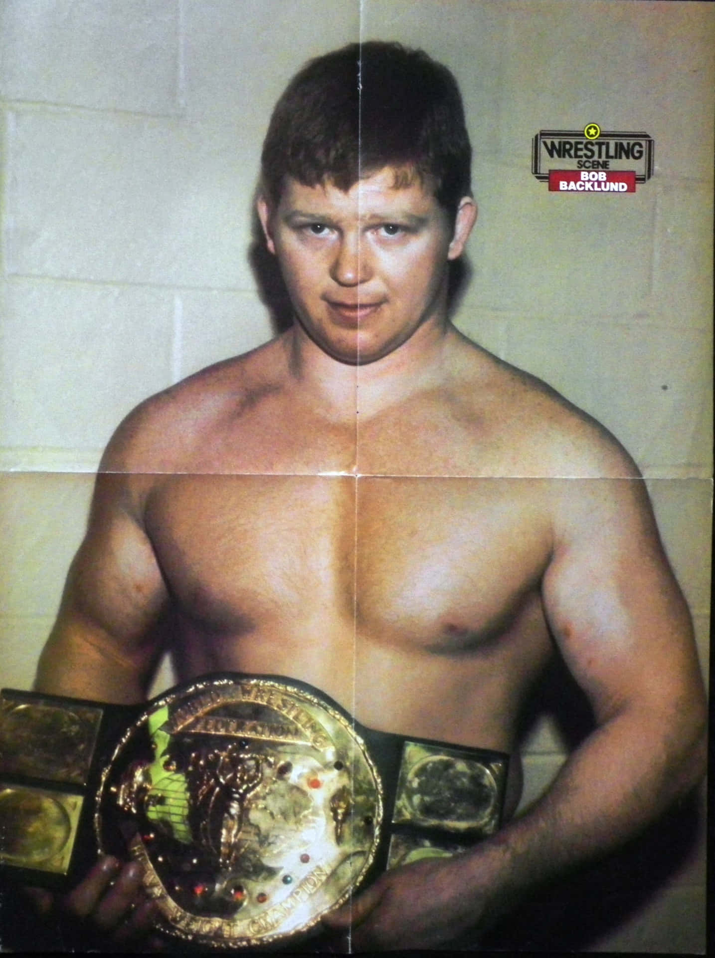 Bob Backlund Merch Poster tapet: Et flot og livligt design, som genskaber ikoniske scener fra Bob Backlunds WWE karriere. Wallpaper