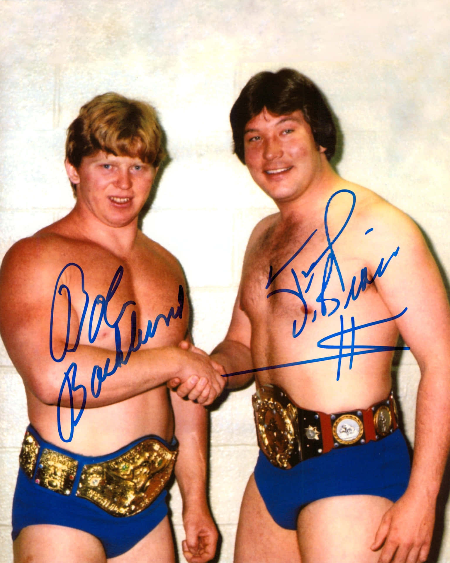 Bob Backlund Shaking Hands With Ted Dibiase Wallpaper