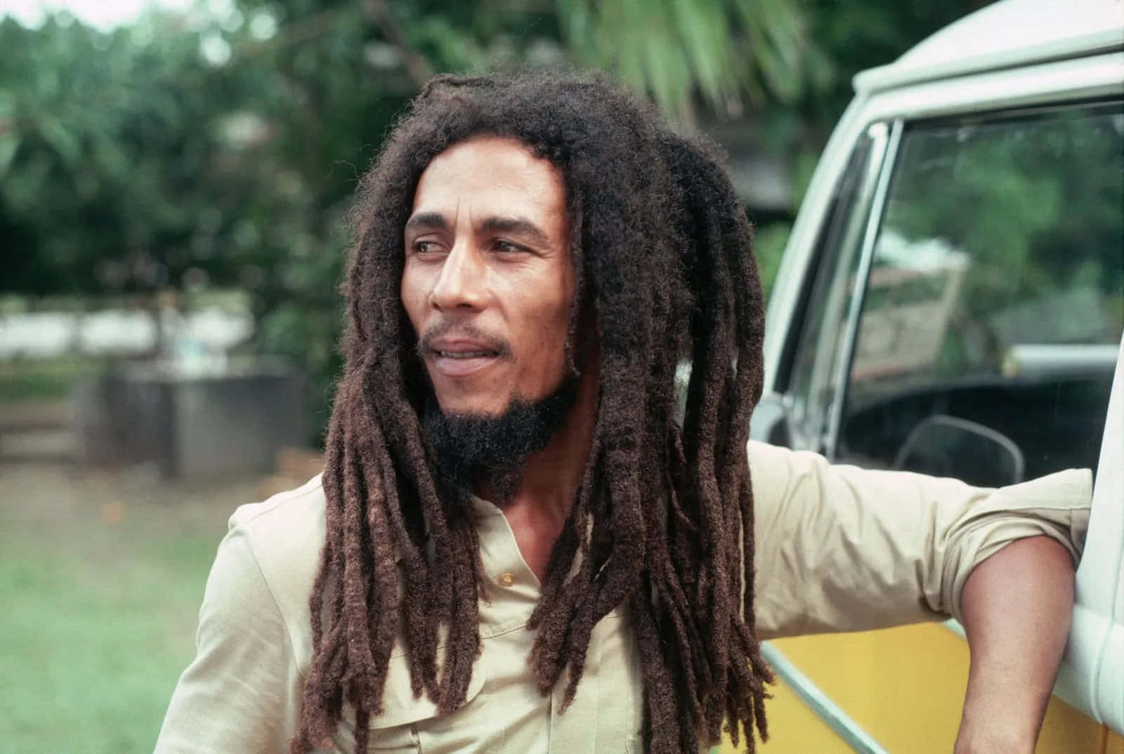 Denälskade Jamaicanska Reggaeartisten Bob Marley