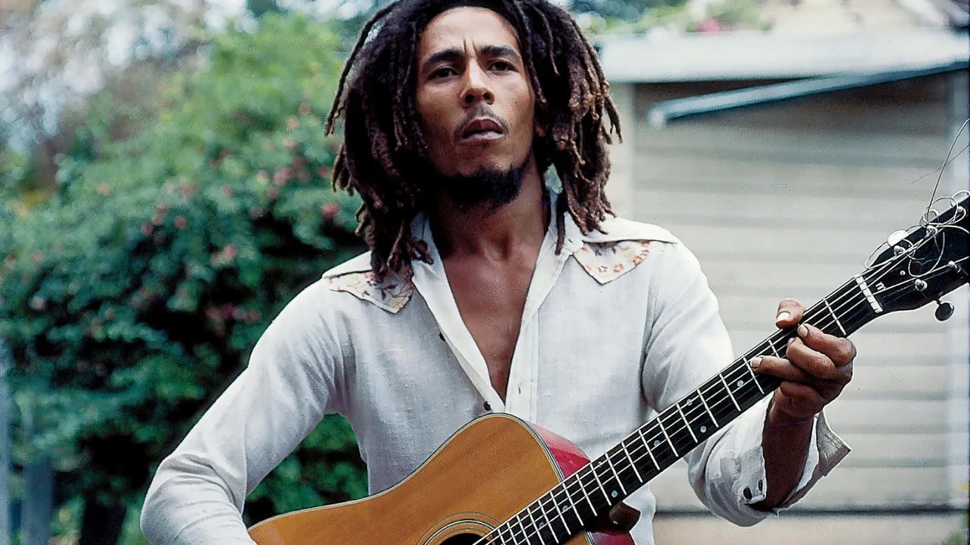 Bob Marley, an Icon of Reggae Music