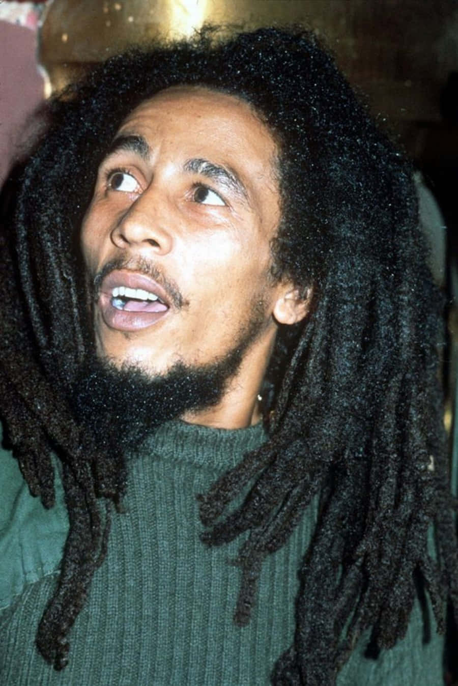 Bob Marley In A Green Sweater With Dreadlocks