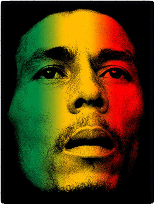Bob Marley Rasta Colors Portrait PNG