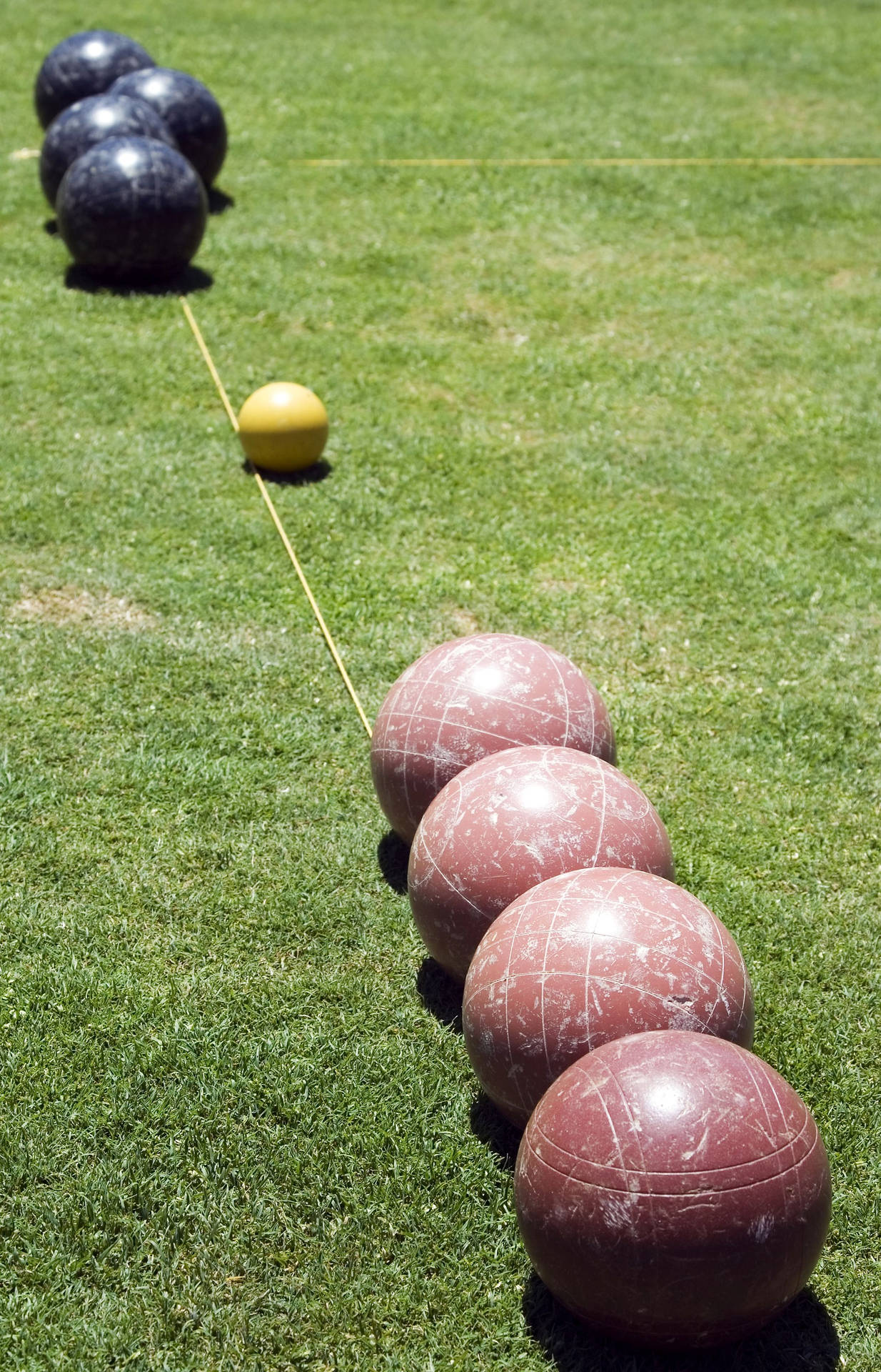 Bocce Ball Black And Brown On Grass Wallpaper