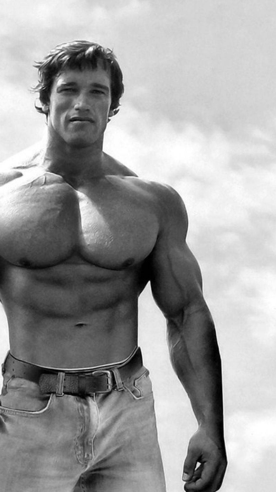 Body Builder Arnold Schwarzenegger Picture