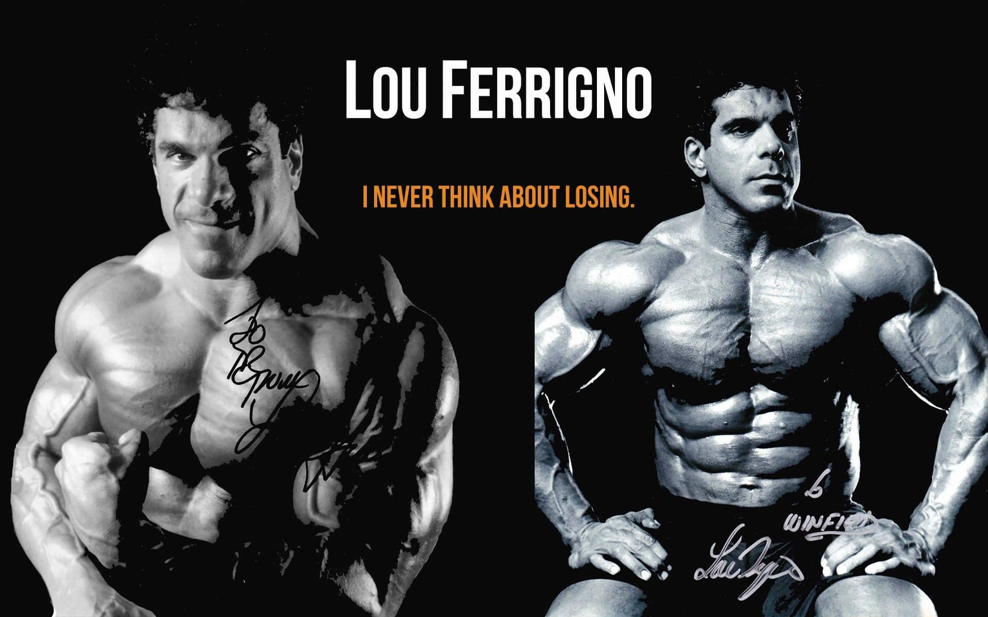 Picture Of Bodybuilder Lou Ferrigno Picture