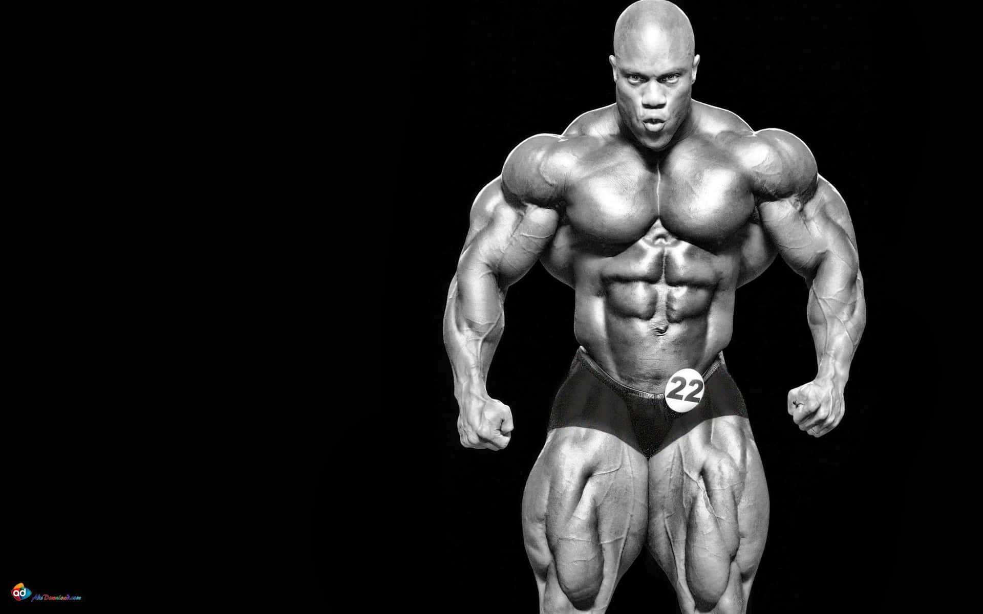 Picture Of Ronnie Coleman's Bodybuilding Picture