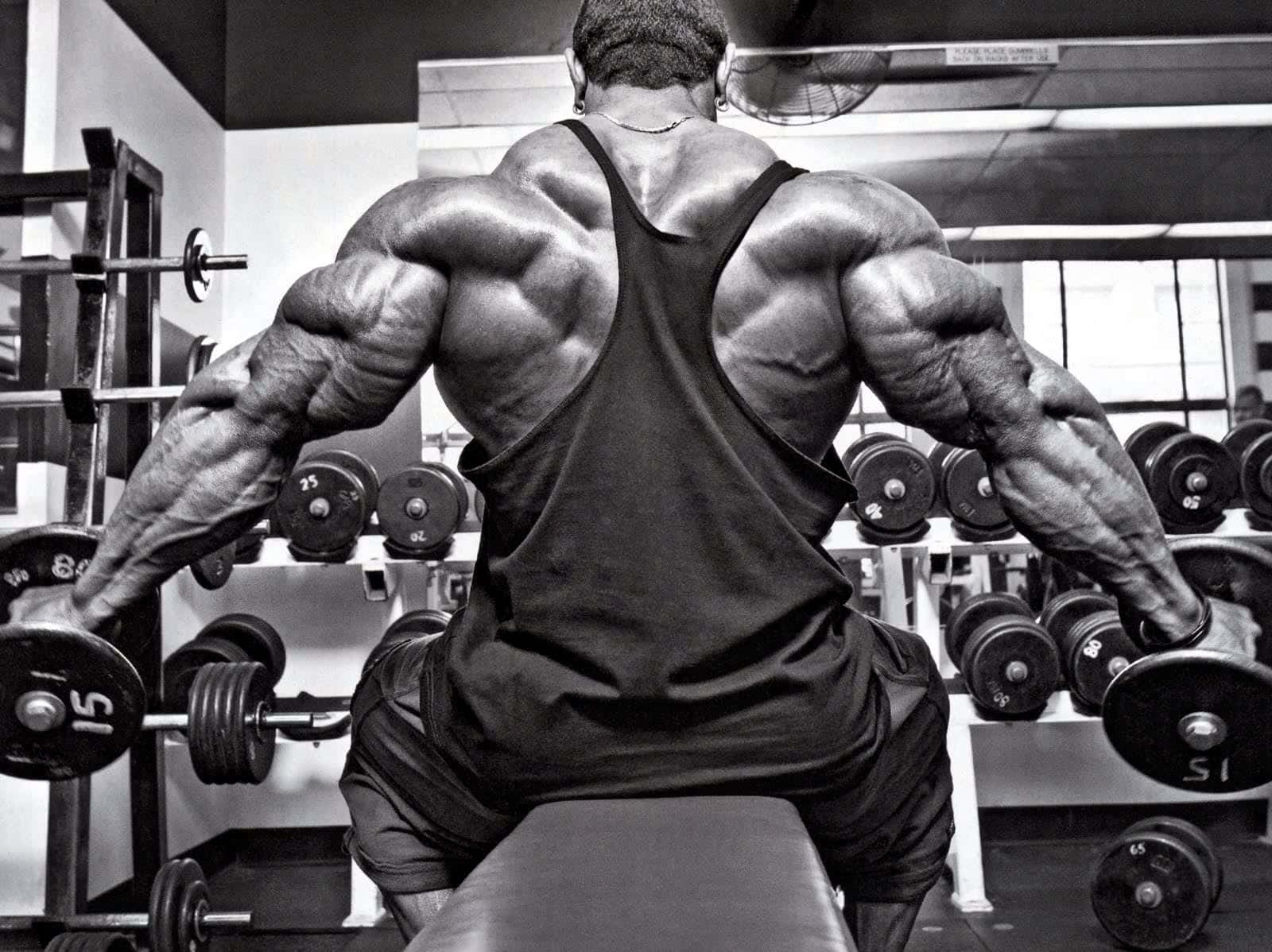 Picture Of Bodybuilder's Back Muscles Picture