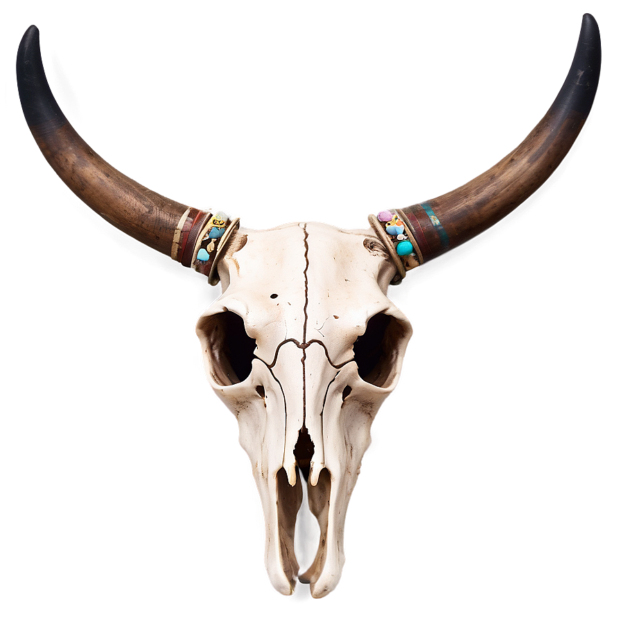 Boho Chic Cow Skull Png 06132024 PNG