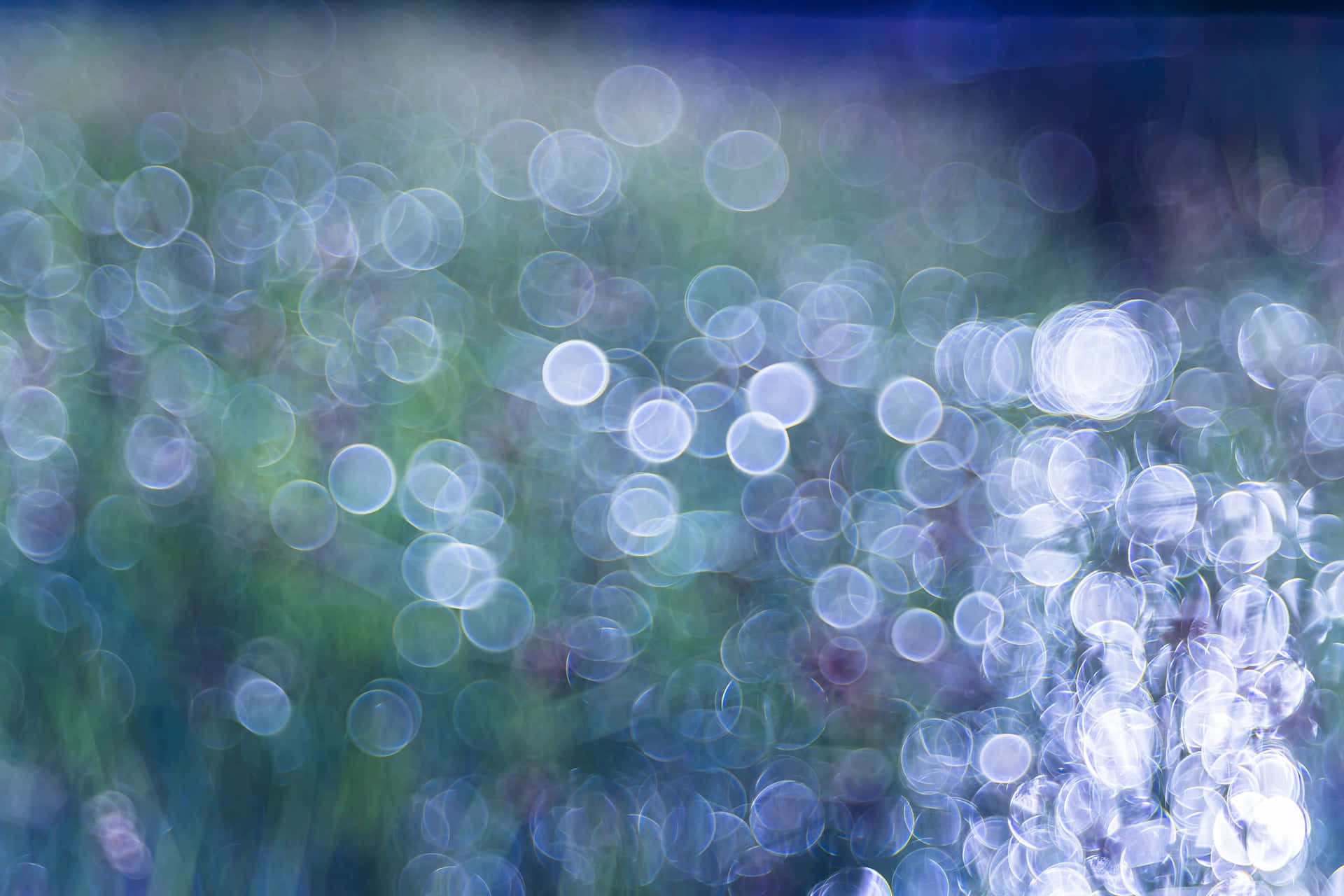 "Bring Depth and Focus to Your Screen with Bokeh"