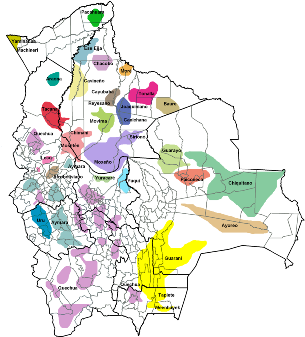 Bolivia Ethnolinguistic Map PNG