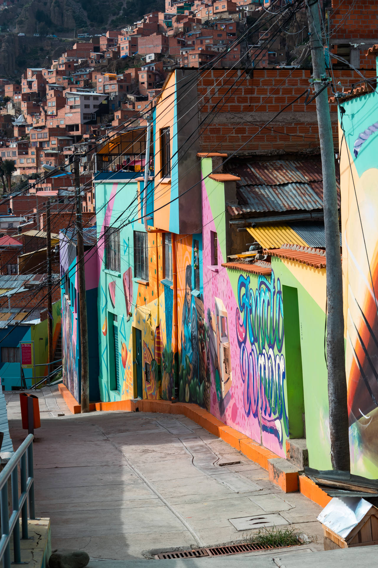 Bolivia La Paz City Street