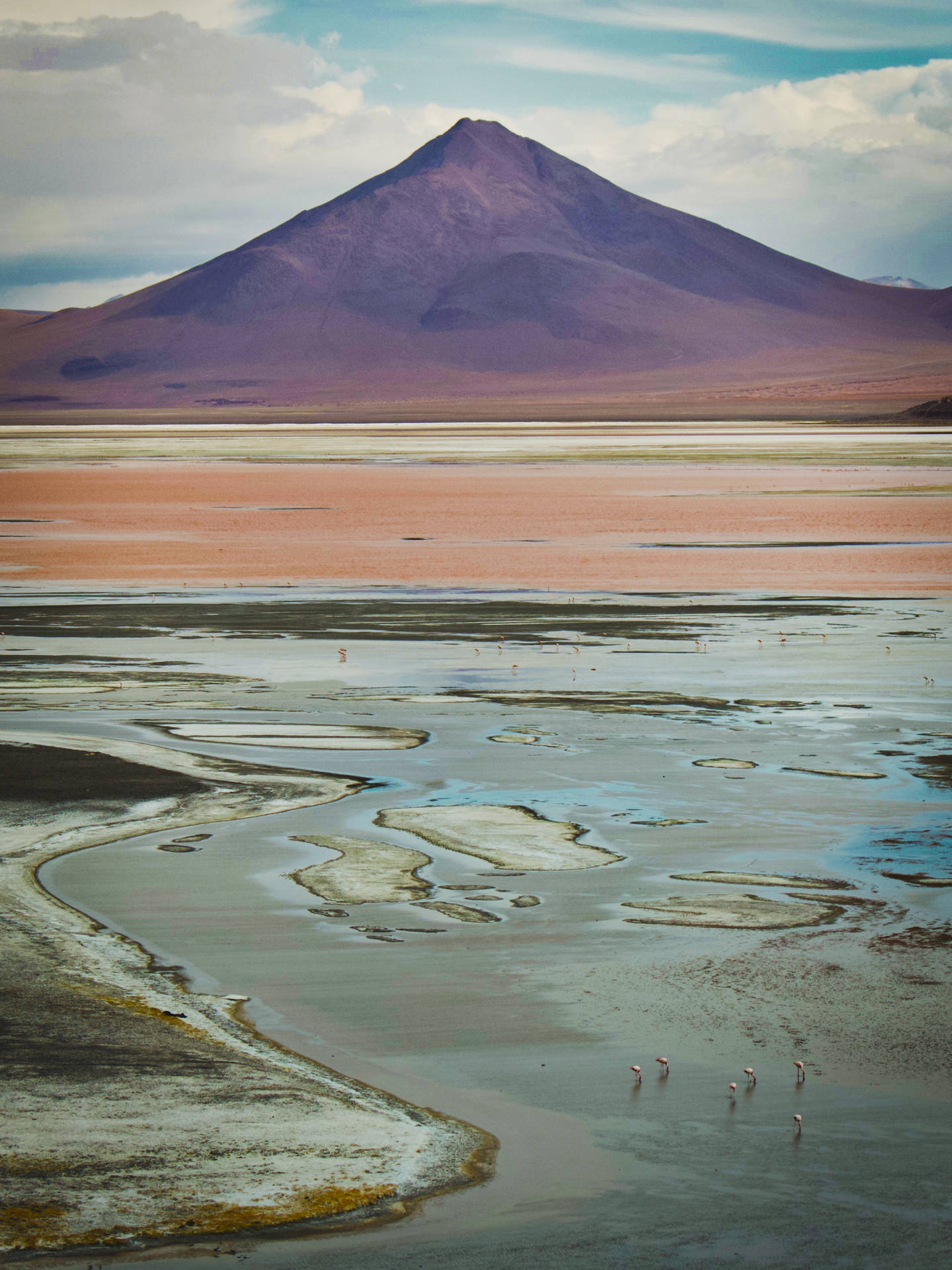 Bolivia Laguna Colorada Pink Lake