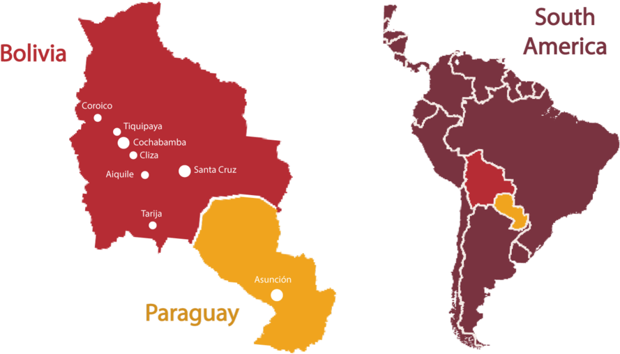 Boliviaand Paraguay Mapwith Cities PNG