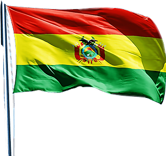 Download Bolivian Flag Waving | Wallpapers.com