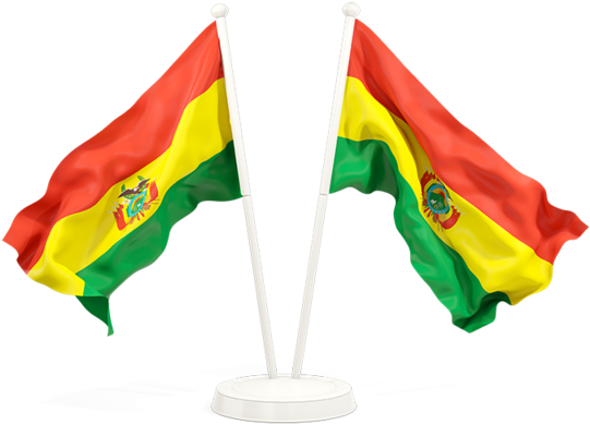 Bolivian Flagson Stands PNG