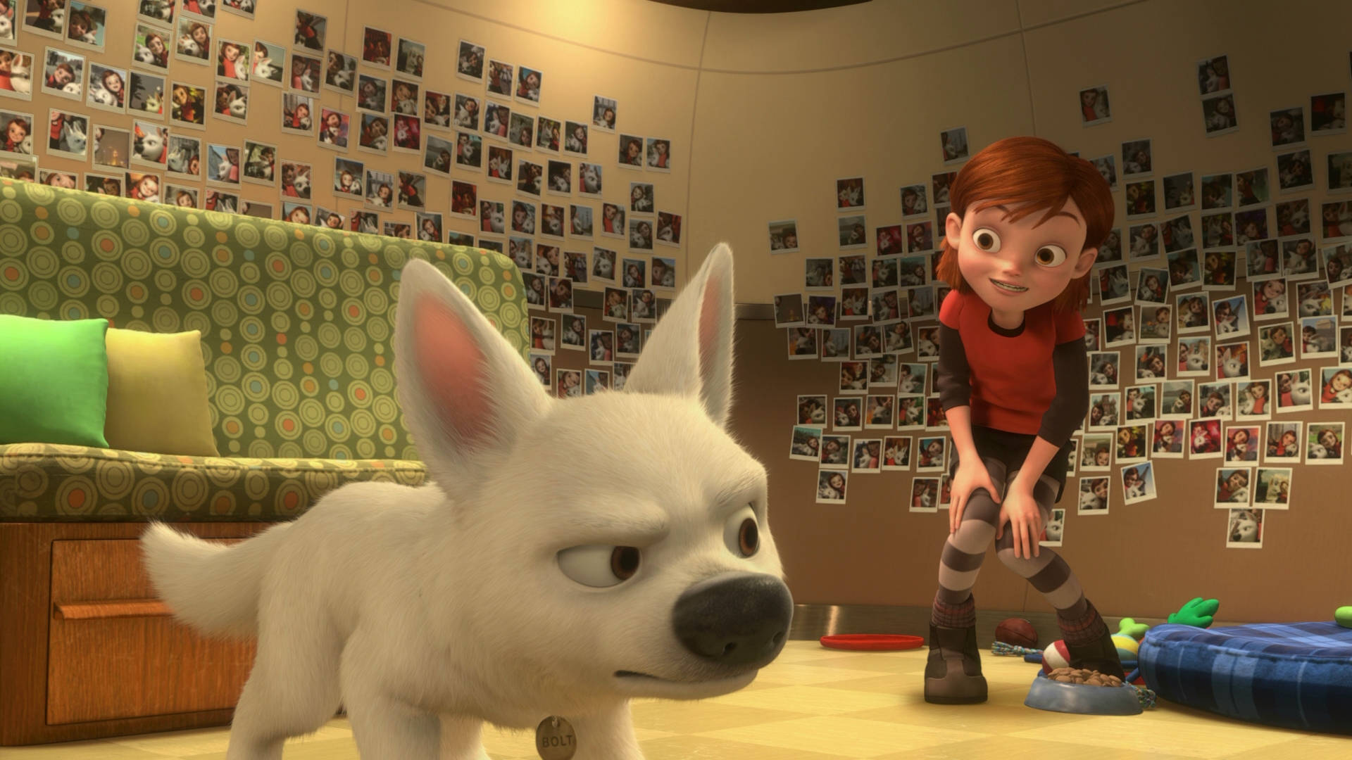 Bolt And Penny In Room Background
