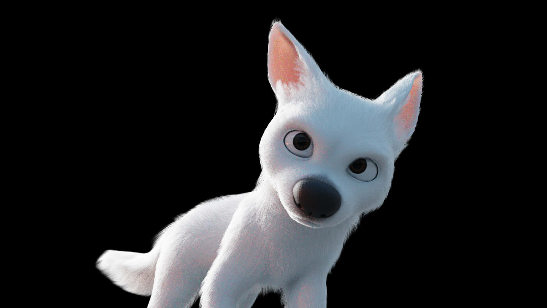 A White Dog Standing On A Black Background