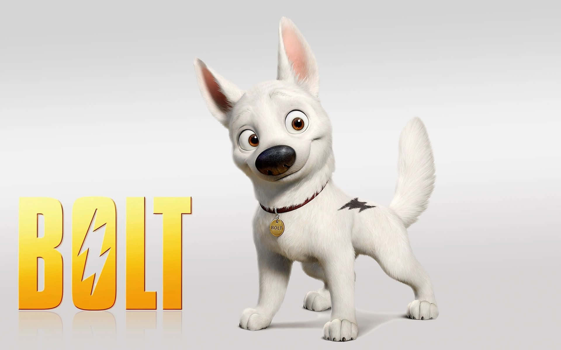 A White Dog With The Word Bolt On It