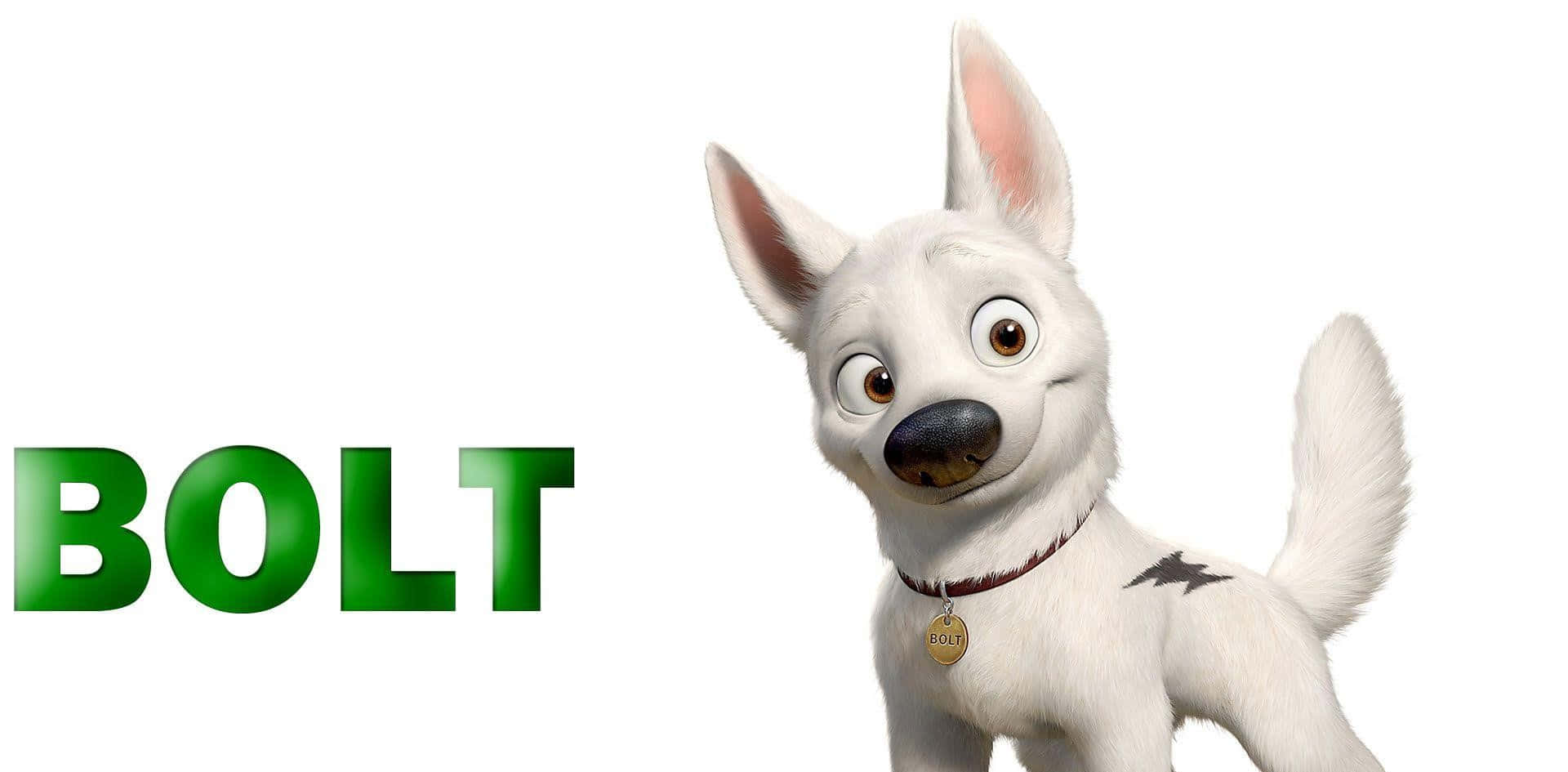 Bolt, the heroic dog, is ready for a new adventure!