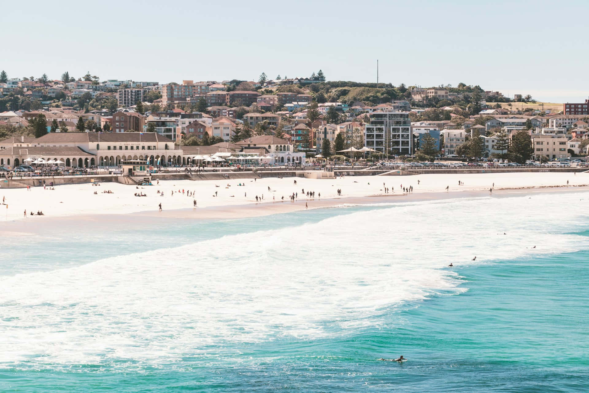 Pantai Bondi Sydney Australia Hari Cerah Wallpaper