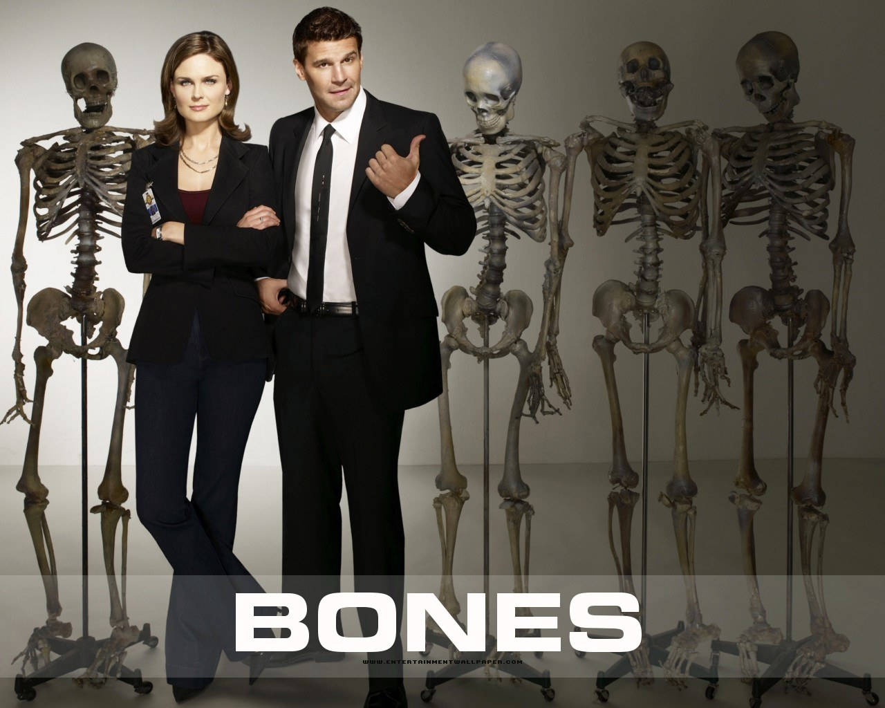 Huesosesqueletos Emily Deschanel David Boreanaz Fondo de pantalla