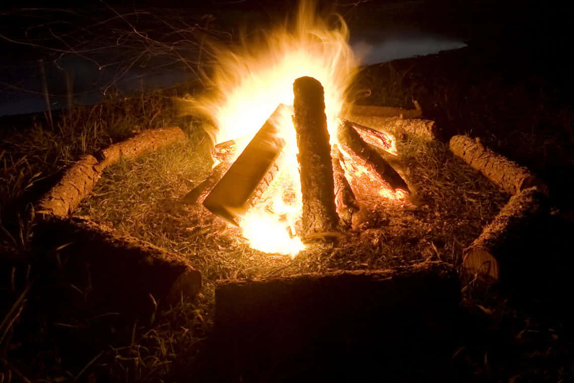 Enjoying a beautiful evening with friends around the bonfire.
