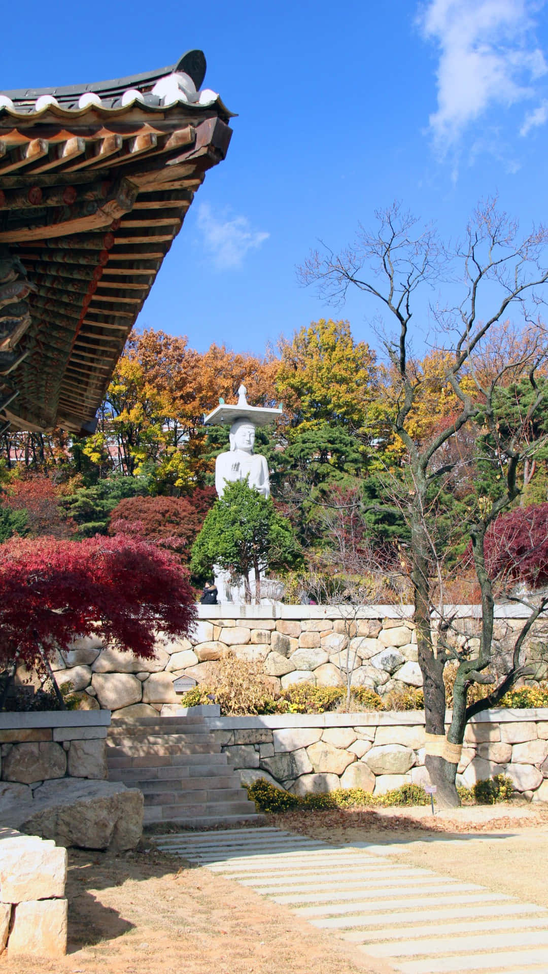 Bongeunsa Temple Autumn Scenery Wallpaper