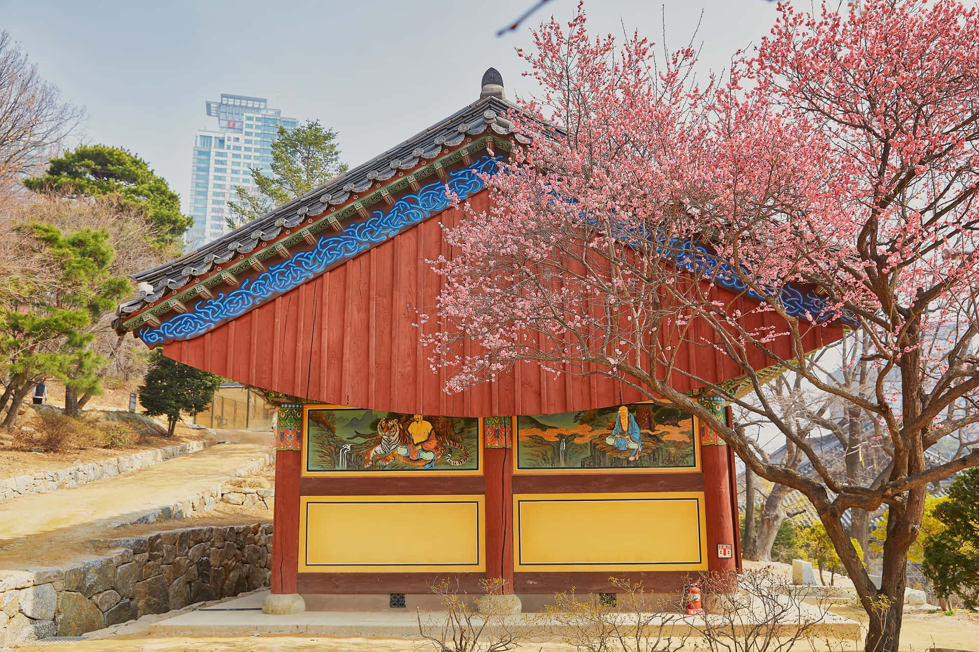 Bongeunsa Temple Cherry Blossomsand Traditional Architecture Wallpaper