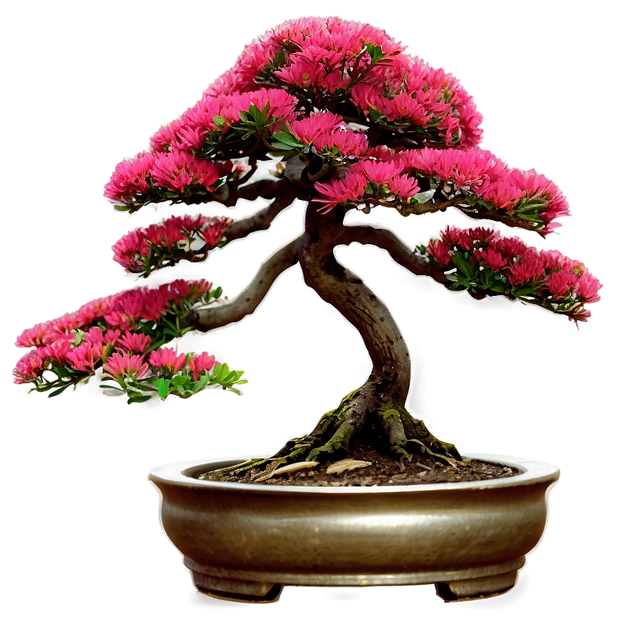 Bonsai Tree Art Png Lrj PNG