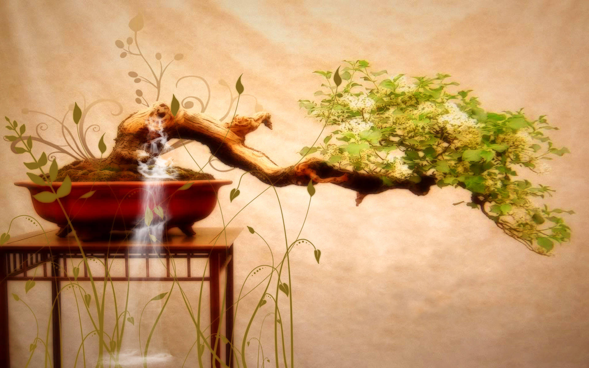 Bonsai Tree Full Cascade Style Plant Photography Wallpaper