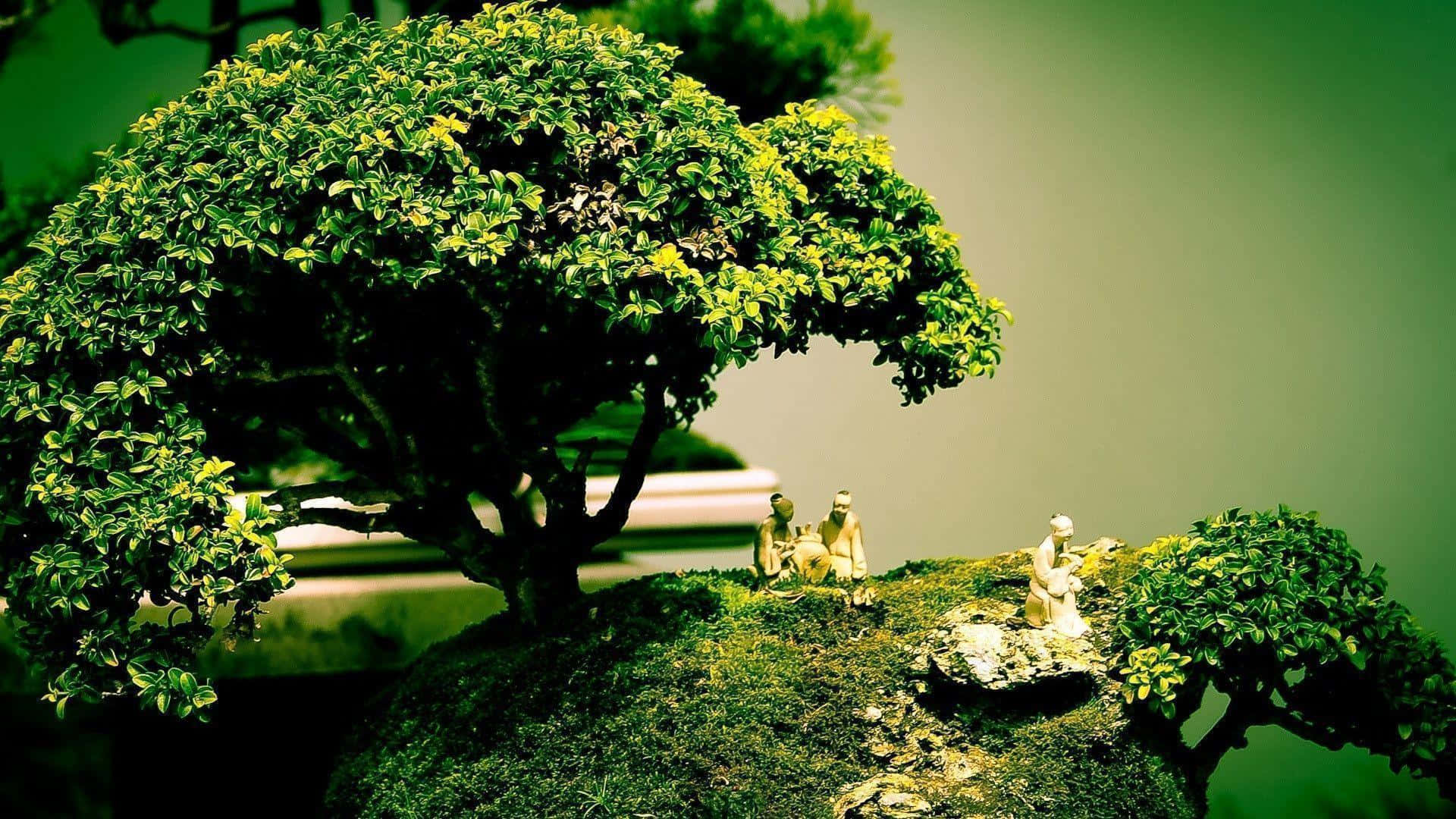 A Small Bonsai Tree Is On A Rock