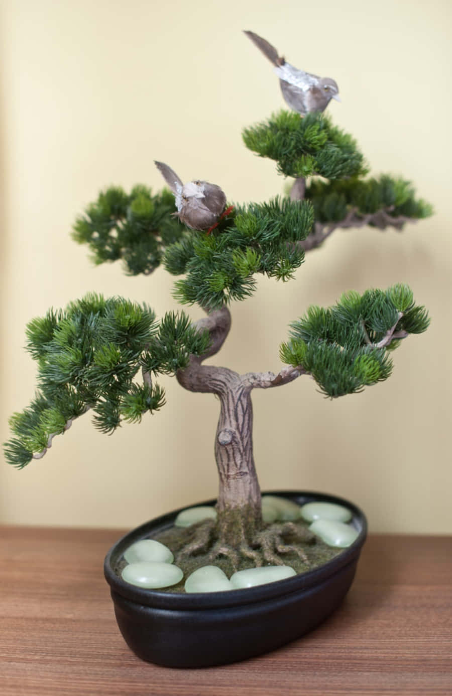 A Bonsai Tree With Birds On Top