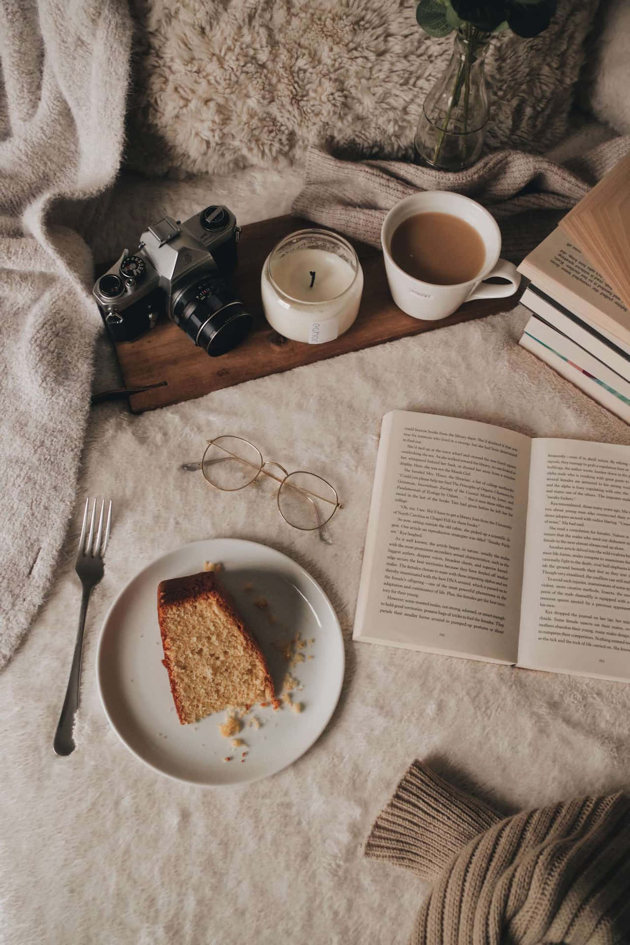 Einbett Mit Einem Buch, Kaffee Und Einem Stück Kuchen.