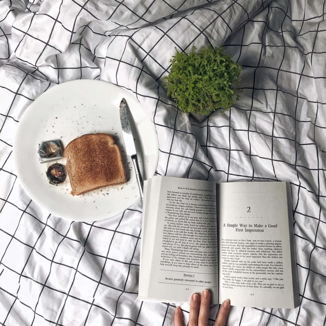 A Person Is Reading A Book On A Bed With Toast And A Book