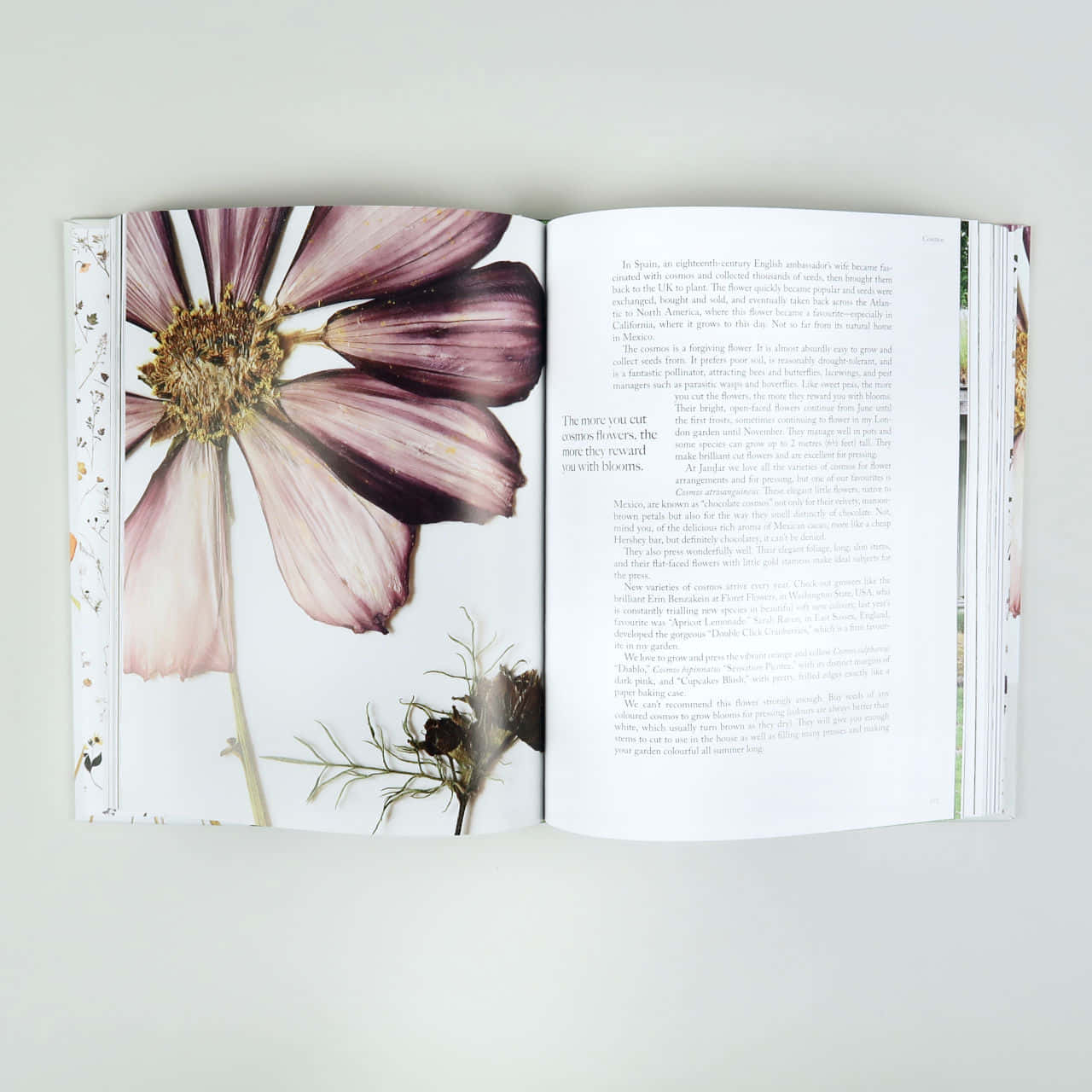 A Book With Flowers And Leaves On It