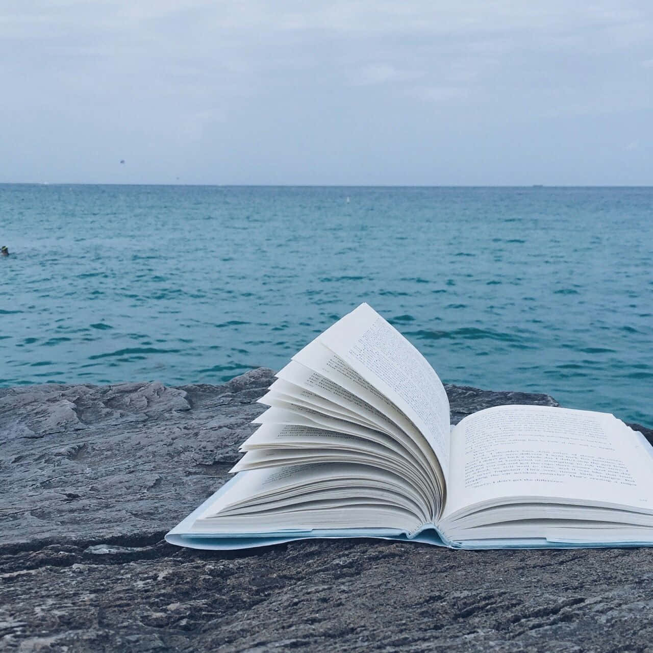 An Open Book On A Rock Next To The Ocean