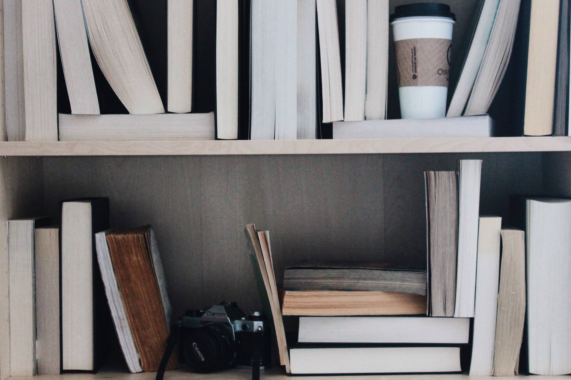 Book Aesthetic Shelf