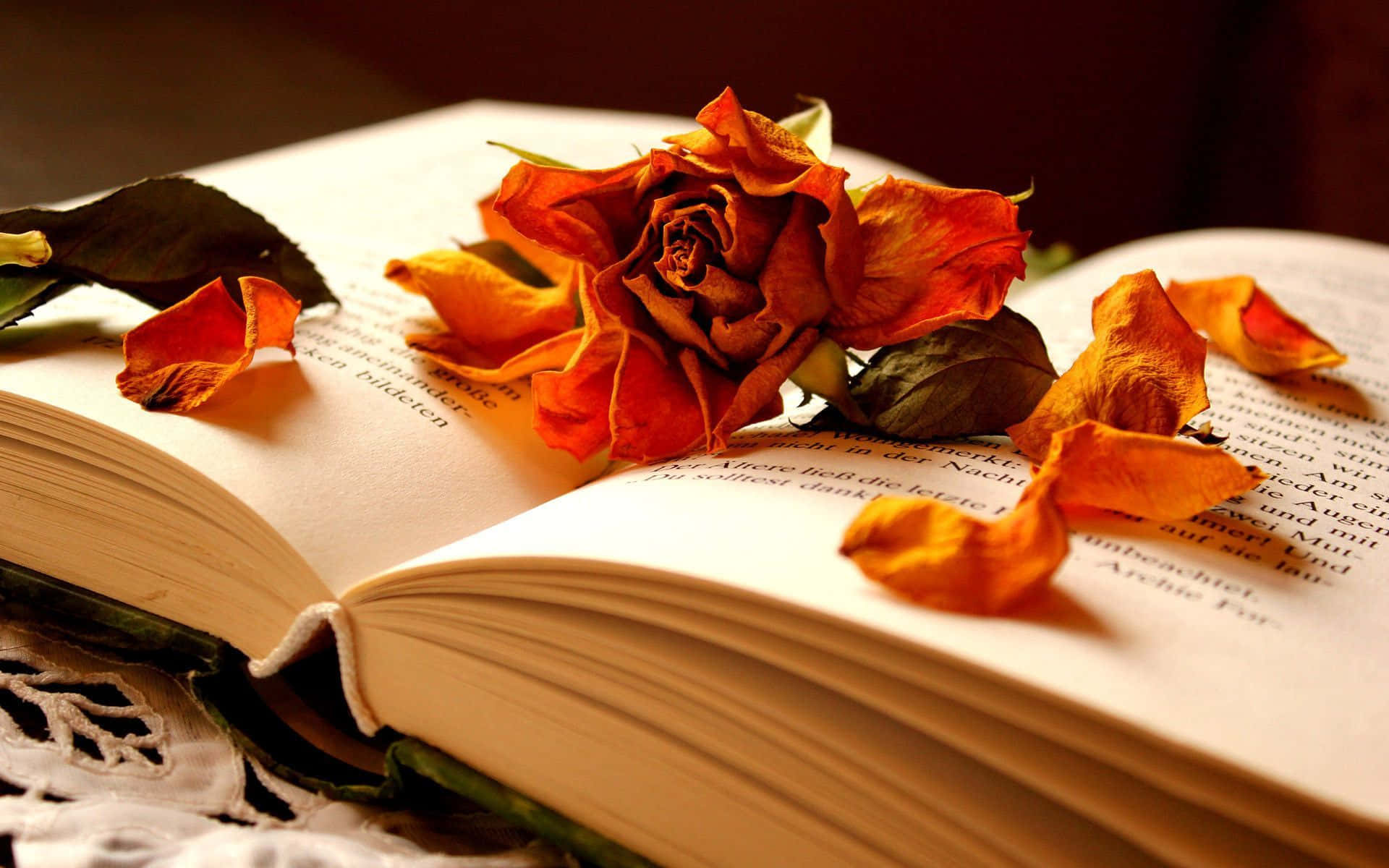 A Book With Roses On It