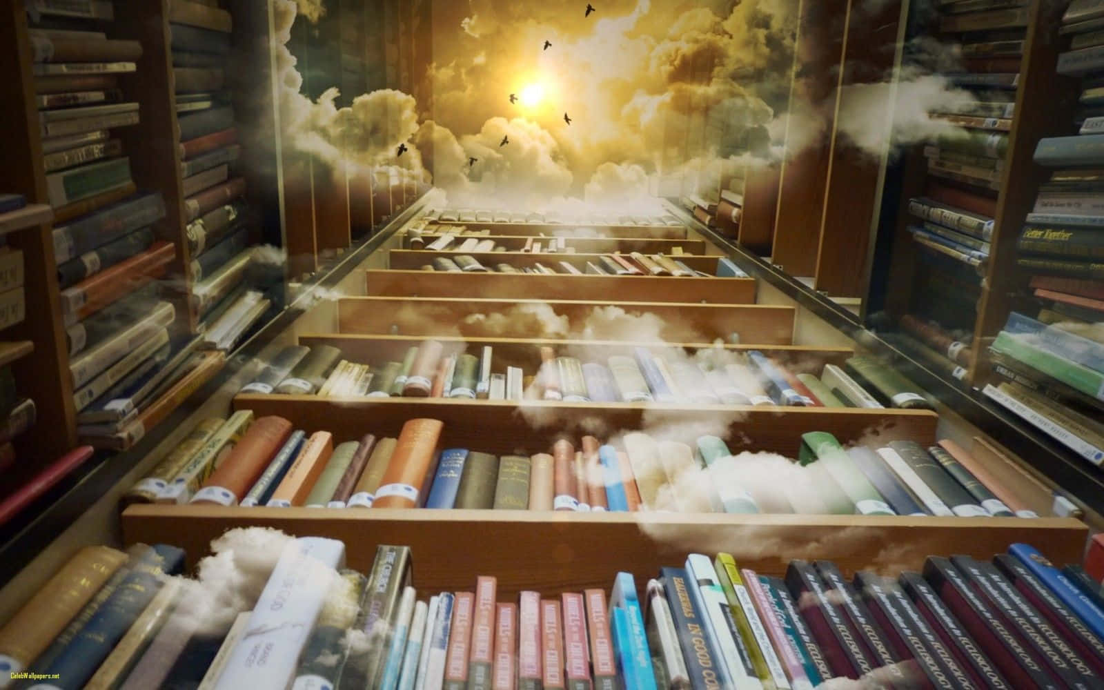 A Library With Books And Clouds In The Sky