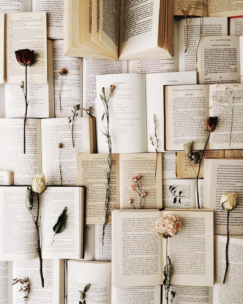 Book Pages Background