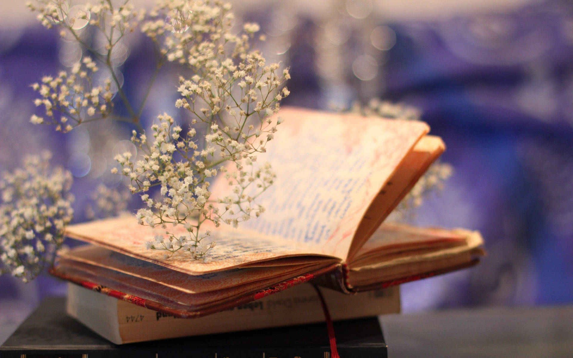 Book With White Flowers Wallpaper