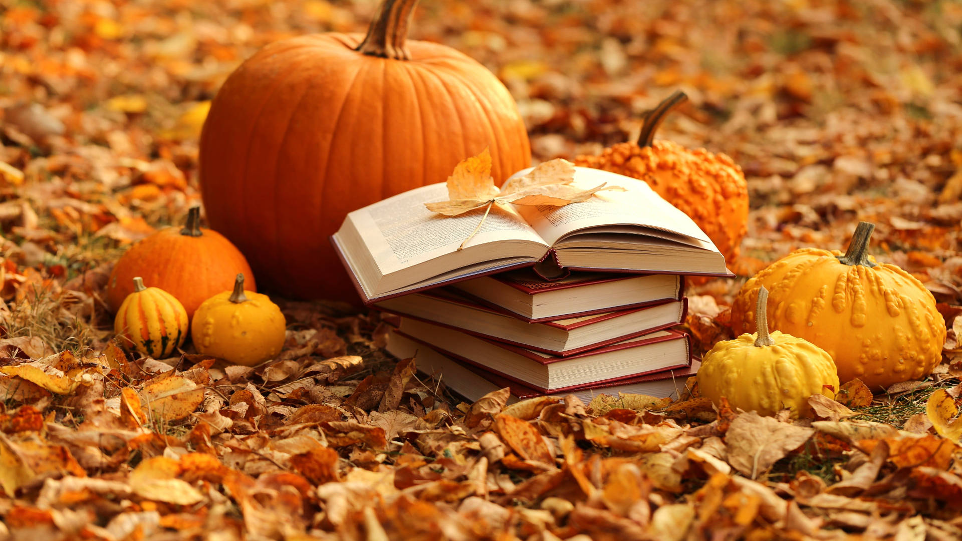 Books And Pumpkins For Autumn MacBook Wallpaper
