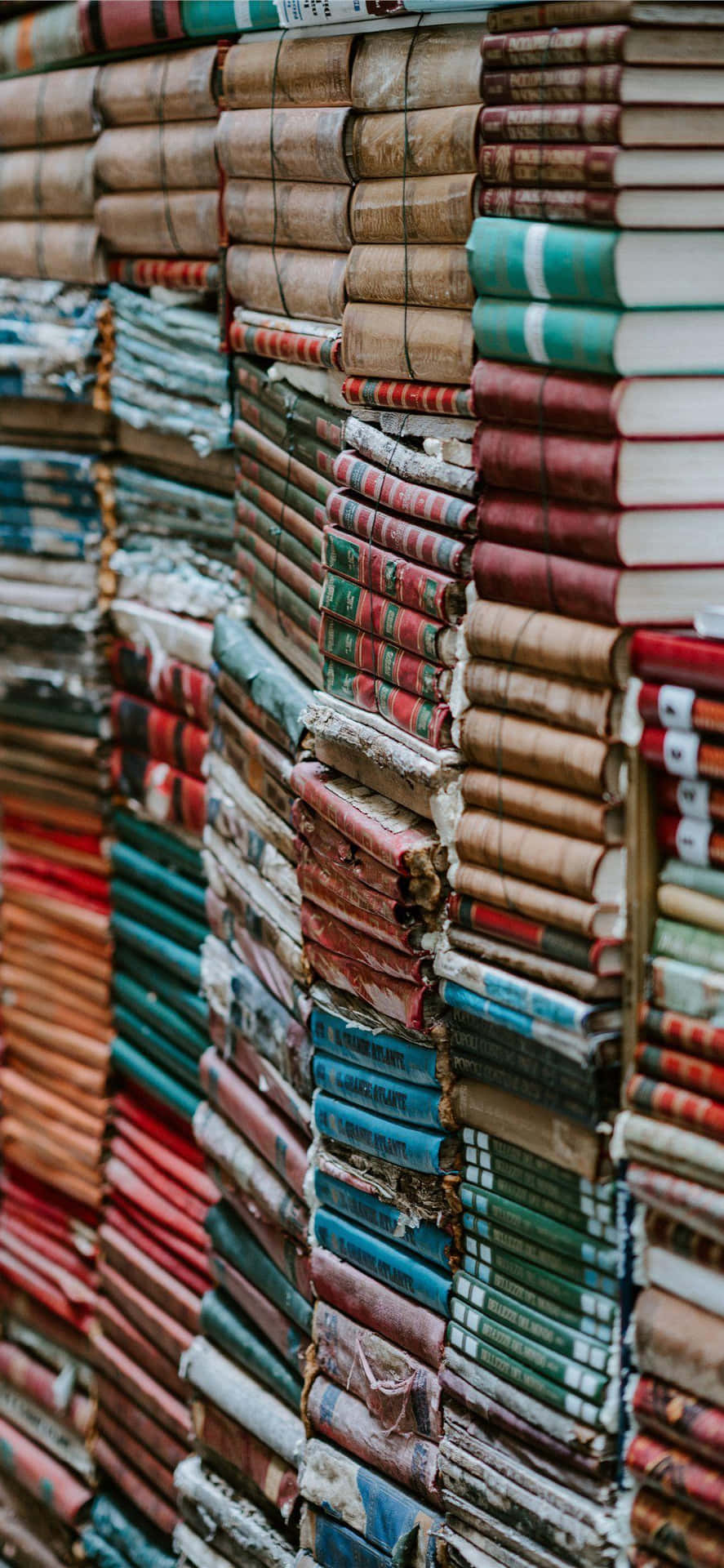Explore New Ideas With A Books Iphone Wallpaper
