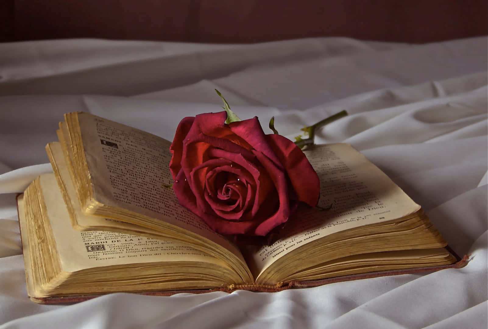 A Book With A Rose On Top Of It